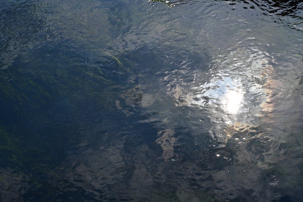 2018-07-21 Canterbury/DSC_2466.JPG